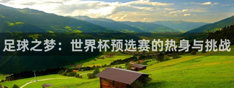 世界杯 赛程:足球之梦:世界杯预选赛的热身与挑战