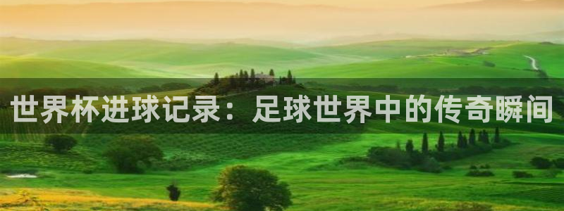 2026世界杯欧洲预选赛赛程表:世界杯进球记录:足球世界中的传奇瞬间