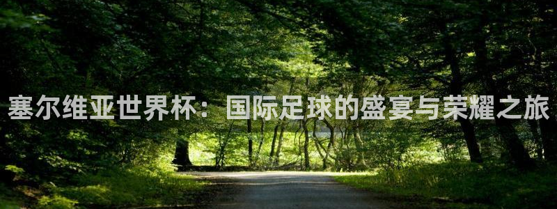 世界杯2026比赛时间表:塞尔维亚世界杯:国际足球的盛宴与荣耀之旅
