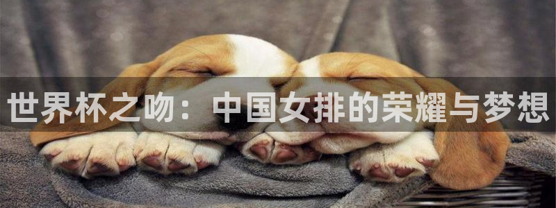 世界杯球赛:世界杯之吻:中国女排的荣耀与梦想
