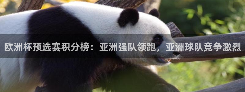 2026世界杯欧洲预选赛赛程表:欧洲杯预选赛积分榜:亚洲强队领跑,亚洲球队竞争激烈
