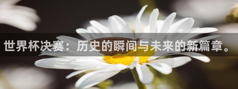 2026世界杯亚洲预选赛赛程:世界杯决赛:历史的瞬间与未来的新篇章。