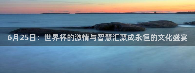 美国世界杯:6月25日:世界杯的激情与智慧汇聚成永恒的文化盛宴