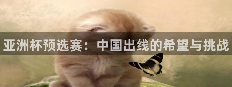 世界杯比赛时间:亚洲杯预选赛:中国出线的希望与挑战